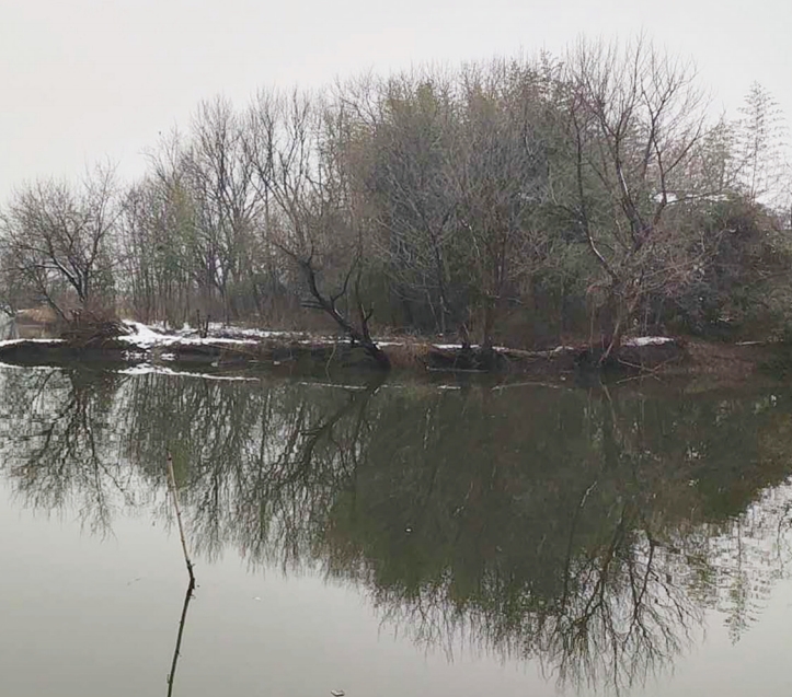 雪后初霁的湖面晶莹明亮