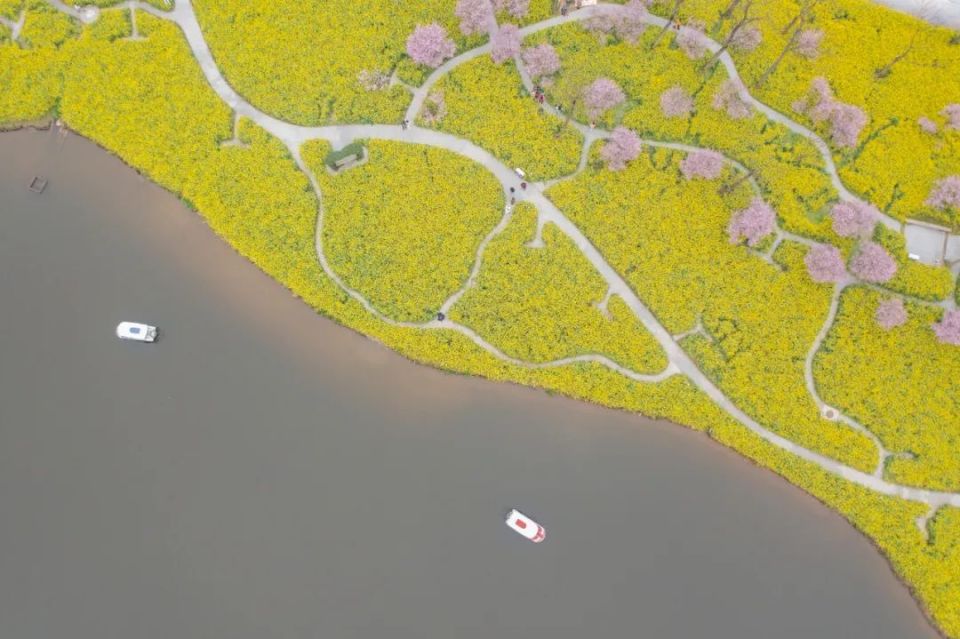 DM_20240320181534_001