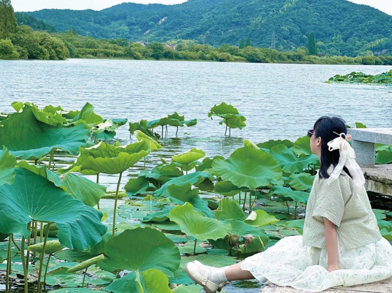 眼里是白马湖的温柔，夏天的荷花婀娜多姿，摇曳得人心儿荡漾