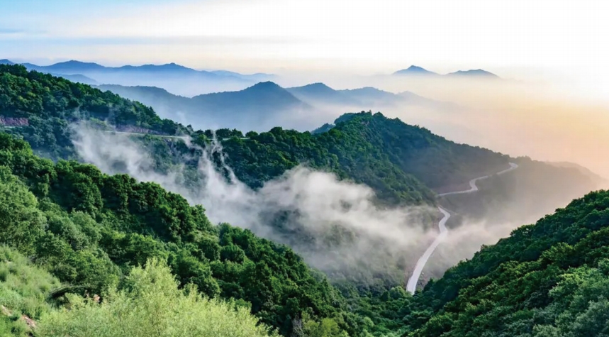 七岭山雾气氤氲，沐浴在清晨的阳光里