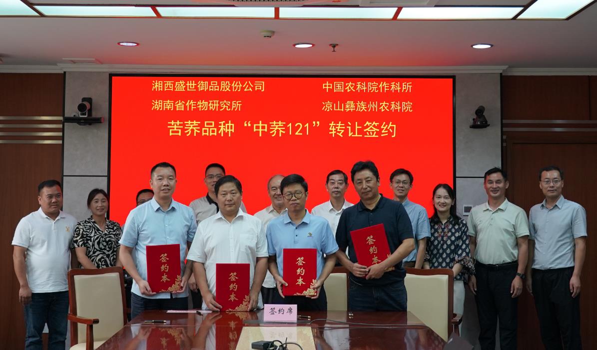 360截图20240813194600484