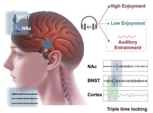 听古典音乐治疗抑郁症？中国科学家探索音乐疗法新应用