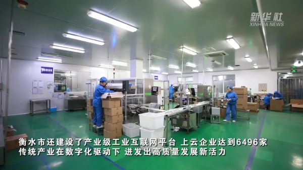 河北衡水：数实融合 为高质量发展插上“数字羽翼”