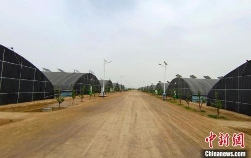 当地在沙漠戈壁上建起的现代化香菇产业园。史玉江 摄