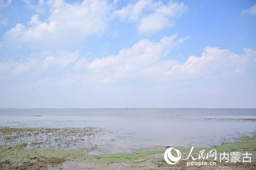 黄旗海自然保护区。人民网记者 寇雅楠摄
