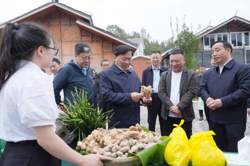 坚持扶志扶智相结合 着力推进巩固拓展脱贫攻坚成果同乡村振兴有效衔接